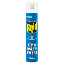 Raid - Fly & Wasp Killer - 300ml