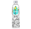 Ursu Still 500ml Ronaldo water