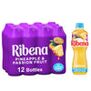 Ribena - Pineapple & Passion Fruit No Added Sugar - 500ml