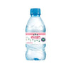 Evian Natural Mineral Water 330ml